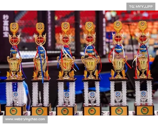 2024年全国综合格斗锦标赛在阳泉举行，近200名选手参赛创新高