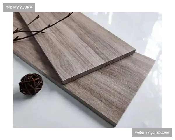 观点：赛季末“地板磨损测试”争议再起，中小车队呼吁更严格的技术监管